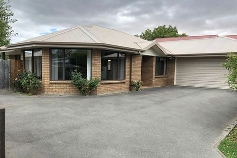 Photo of property in 47b Nelson Street, Mayfield, Blenheim, 7201