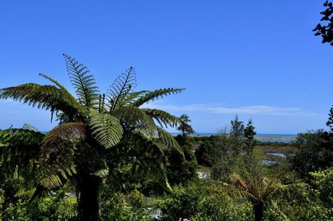 Photo of property in 4546 Karamea Highway, Karamea, 7893