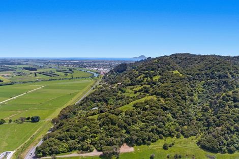 Photo of property in 107 Taneatua Road, Whakatane, 3191