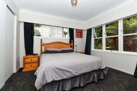 Photo of property in 14 Riverview Terrace, Fairfield, Hamilton, 3214
