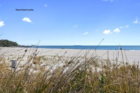 Photo of property in 64a Gloucester Road, Mount Maunganui, 3116