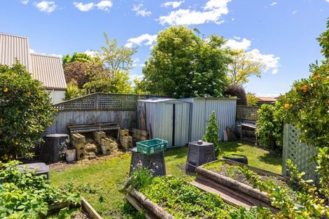 Photo of property in 225 Redwood Street, Witherlea, Blenheim, 7201