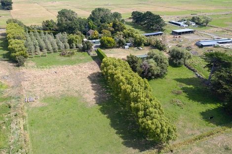 Photo of property in 210 Omanuka Road, Himatangi, Foxton, 4891