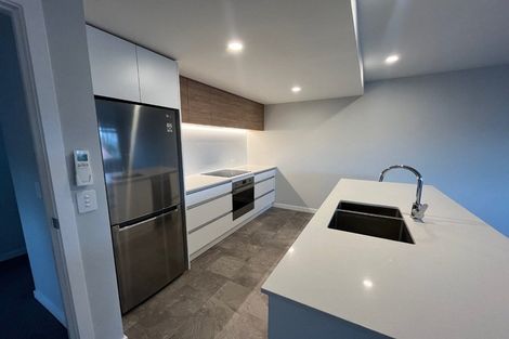 Photo of property in 2b Astelia Place, Richmond, 7020