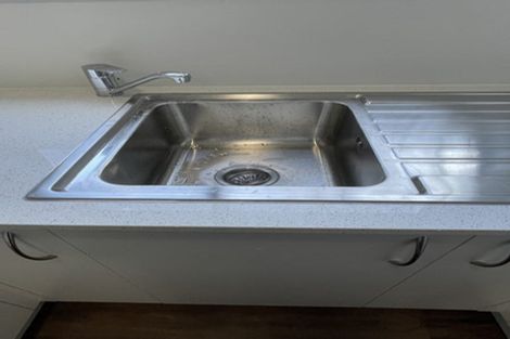 Photo of property in 57 Tripoli Road, Panmure, Auckland, 1072