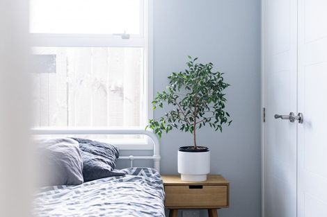 Photo of property in 515 Webb Drive, Chartwell, Hamilton, 3210