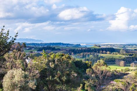 Photo of property in 217a Lawrence Road, Mangawhai, 0573