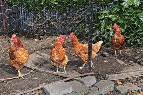 Photo of property in 403 Nottingley Road, Frimley, Hastings, 4120