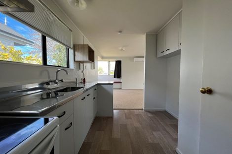 Photo of property in 45a Wellington Street, Hamilton East, Hamilton, 3216