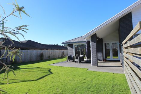 Photo of property in 31 Maeburn Street, Witherlea, Blenheim, 7201
