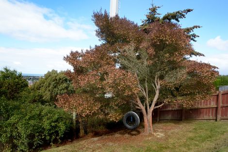 Photo of property in 33 Forfar Street, Clyde Hill, Dunedin, 9011