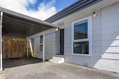 Photo of property in 1/11 Alcock Street, Mount Wellington, Auckland, 1060