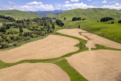 Photo of property in 268 Mikimiki Road, Mikimiki, Masterton, 5881