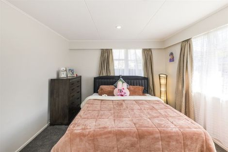 Photo of property in 14 Lewis Place, Highbury, Palmerston North, 4412