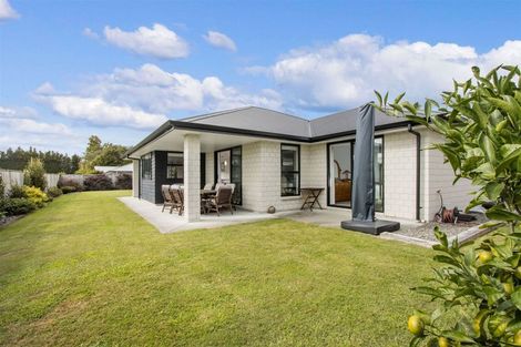 Photo of property in 19 Nolan Place, Katikati, 3129