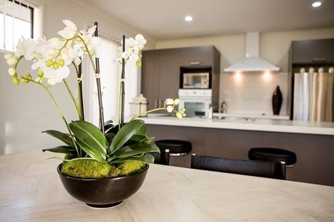 Photo of property in 4 Hugo Way, Papamoa Beach, Papamoa, 3118