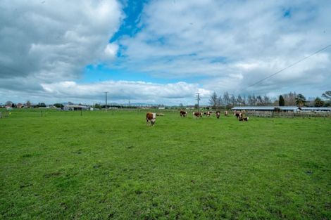 Photo of property in 3b Kereone Road, Morrinsville, 3371