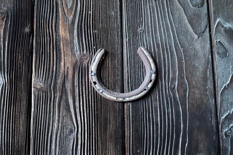 Photo of property in 19 The Bollard, Whitby, Porirua, 5024