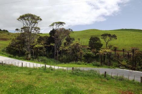 Photo of property in 23 Centrebush Lane, Raglan, 3295