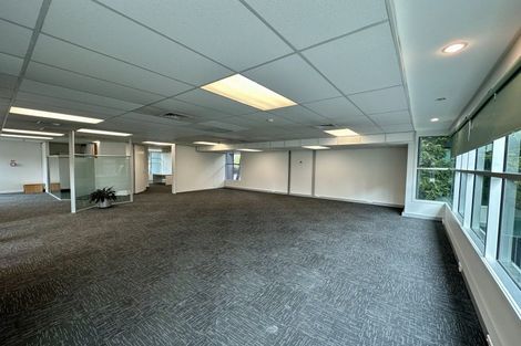 Photo of property in 8a Madeira Lane, Grafton, Auckland, 1023