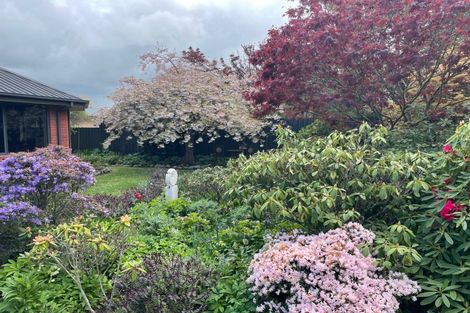 Photo of property in 34 Tancred Street, Geraldine, 7930