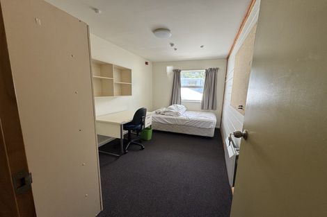 Photo of property in Drummond Street Flats, 16/19 Drummond Street, Mount Cook, Wellington, 6021