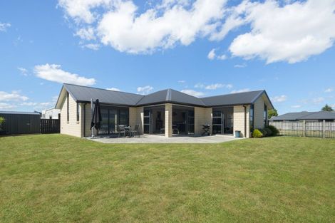 Photo of property in 37 Earl Road, Matamata, 3400