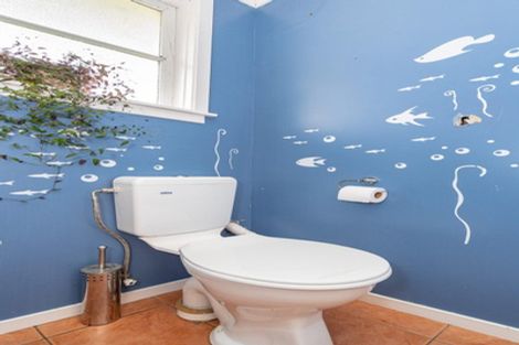 Photo of property in 23 Panmure Avenue, Calton Hill, Dunedin, 9012