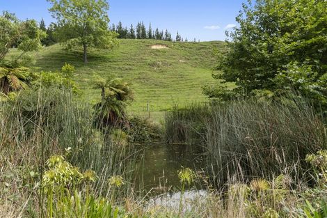 Photo of property in 264 Oropi Gorge Road, Oropi, Tauranga, 3173