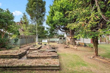 Photo of property in 9 Bunnythorpe Road, Papakura, 2110