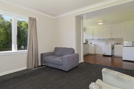 Photo of property in 6a Waikareao Way, Brookfield, Tauranga, 3110