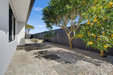 Photo of property in 134 Palm Beach Boulevard, Papamoa Beach, Papamoa, 3118