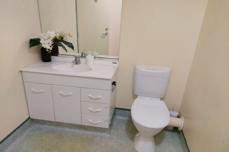 Photo of property in Palm Grove Apartments, 8/13b Palm Grove, Berhampore, Wellington, 6023