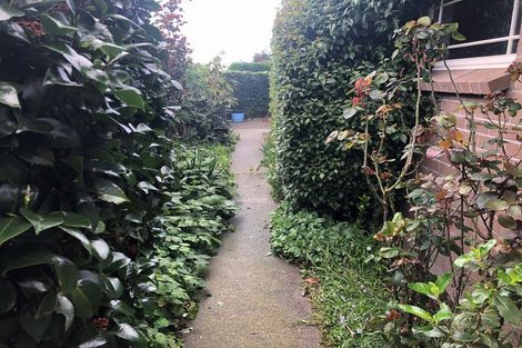 Photo of property in 29 Hillcrest Street, Tirau, 3410