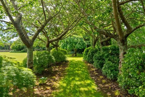 Photo of property in 404 Upper Plain Road, Upper Plain, Masterton, 5888