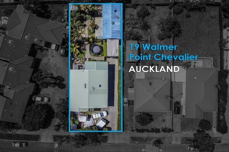 Photo of property in 19 Walmer Road, Point Chevalier, Auckland, 1022