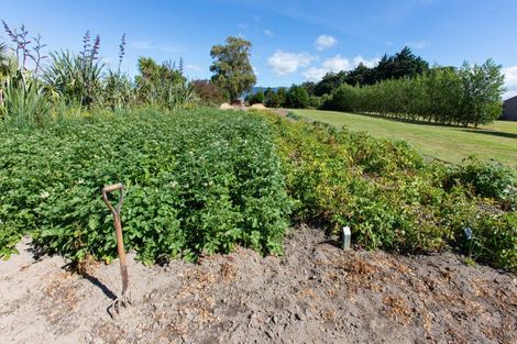Photo of property in 41 Beckett Lane, Dannevirke, 4972