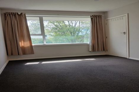 Photo of property in 1/463 Durham Street North, St Albans, Christchurch, 8014