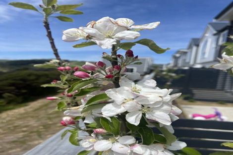 Photo of property in 7/30 Adventure Drive, Whitby, Porirua, 5024