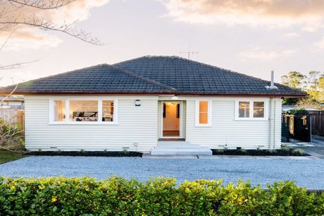 Photo of property in 77 Clarkin Road, Fairfield, Hamilton, 3214