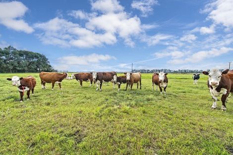 Photo of property in 143 Telegraph Road, Burnham, Christchurch, 7677