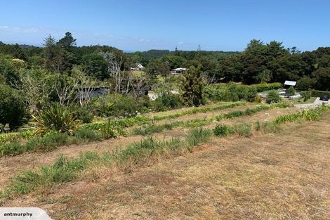 Photo of property in 323e Huia Road, Titirangi, Auckland, 0604