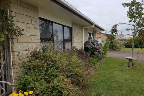 Photo of property in 3/12 Buchanan Street, Matamata, 3400