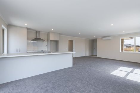 Photo of property in 17 Camberley Road, Richmond, 7020