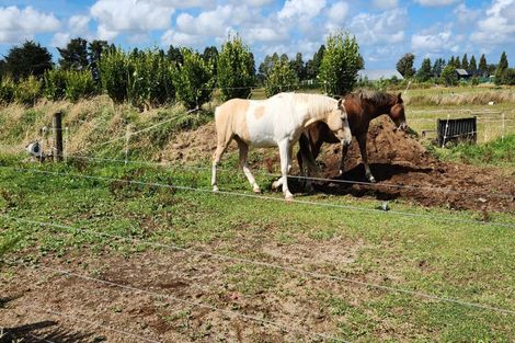 Photo of property in 70 Peters Road, Kaimiro, Inglewood, 4386
