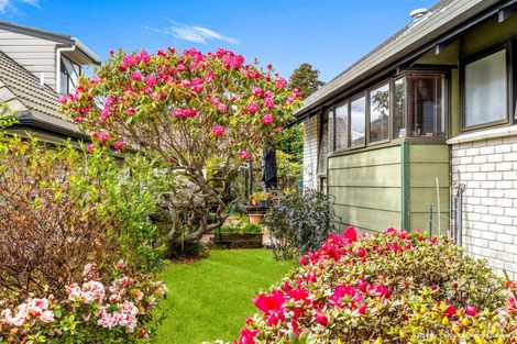 Photo of property in 68a Sophia Street, Glenholme, Rotorua, 3010