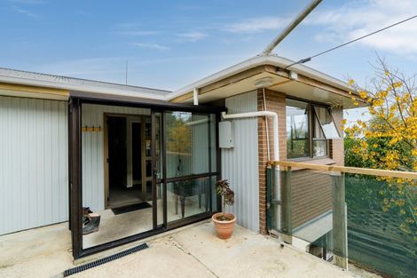 Photo of property in 19 Seaview Road, Brighton, Dunedin, 9035