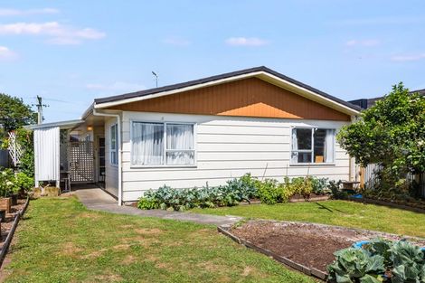 Photo of property in 35 Power Street, Levin, 5510