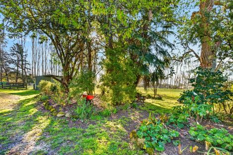 Photo of property in 58 Ru Collin Road, Bridge Pa, Hastings, 4174