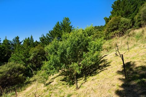 Photo of property in Waitaria Bay, Waitaria Bay, Marlborough Sounds, 7282